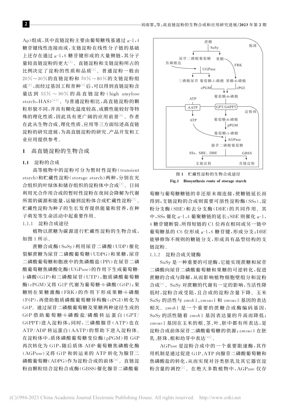 高直链淀粉的生物合成和应用研究进展_刘雨霏.pdf_第2页