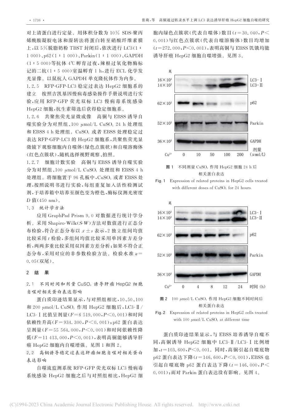 高铜通过转录水平上调LC3...癌HepG2细胞自噬的研究_张萌.pdf_第3页