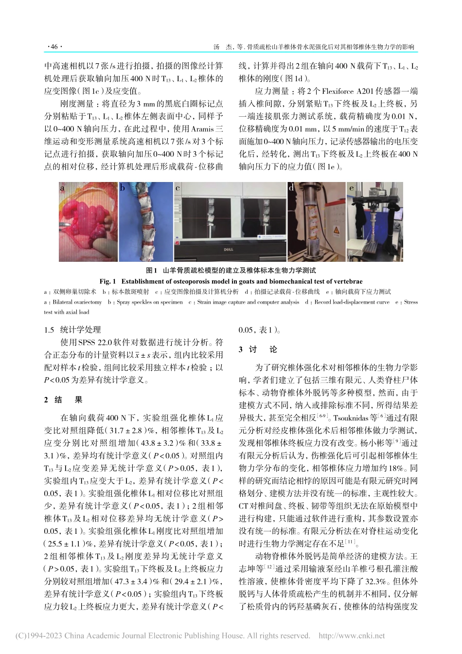 骨质疏松山羊椎体骨水泥强化...对其相邻椎体生物力学的影响_汤杰.pdf_第3页