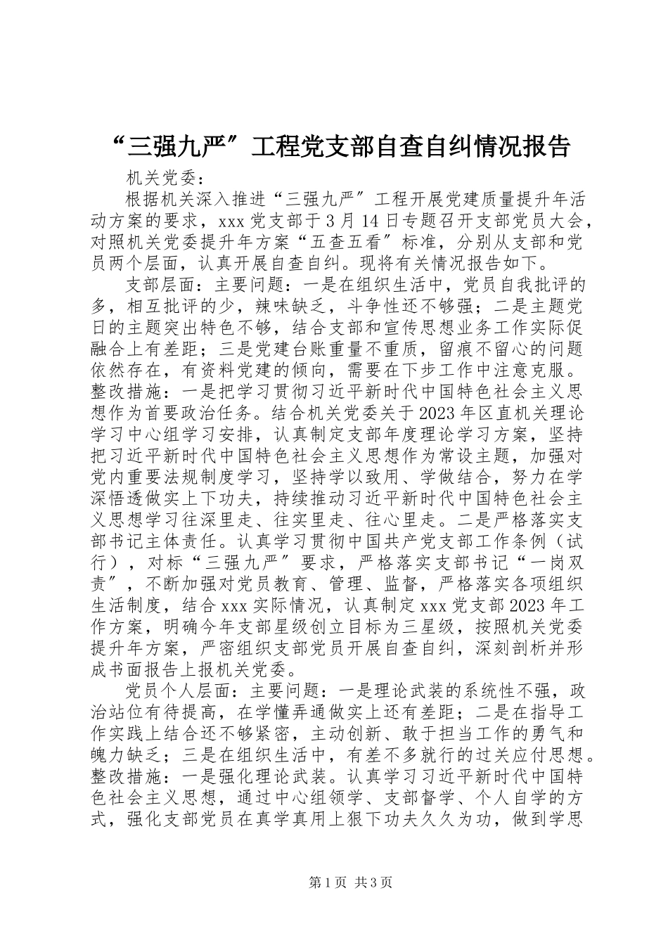 2023年三强九严工程党支部自查自纠情况报告.docx_第1页