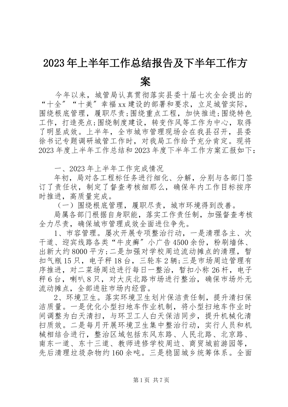 2023年上半年工作总结报告及下半工作计划.docx_第1页