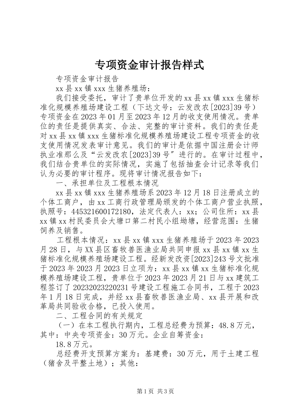 2023年专项资金审计报告样式.docx_第1页