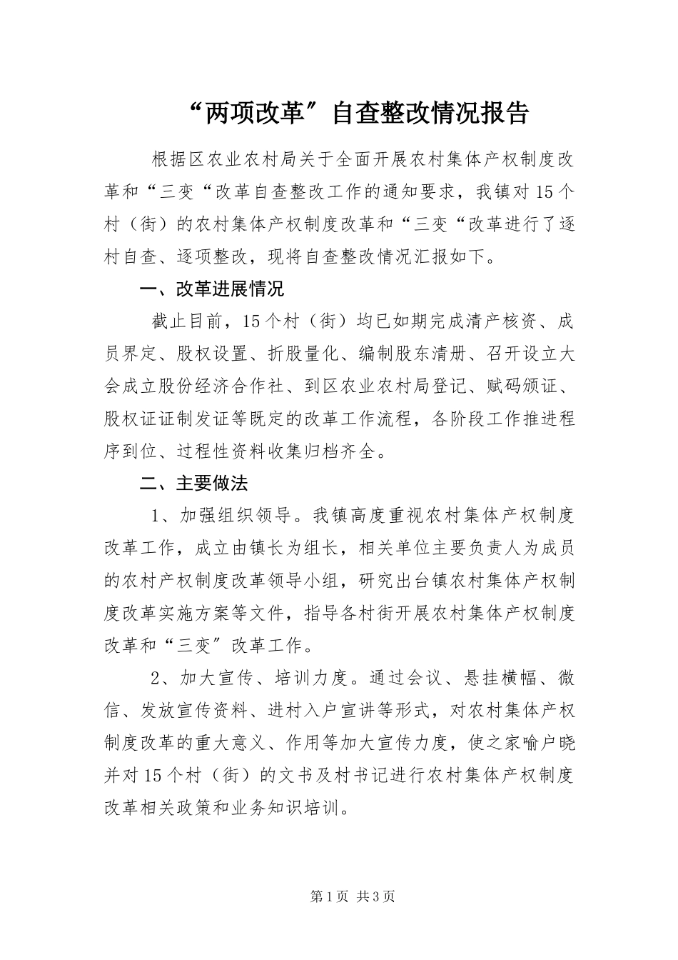 2023年两项改革自查整改情况报告.docx_第1页