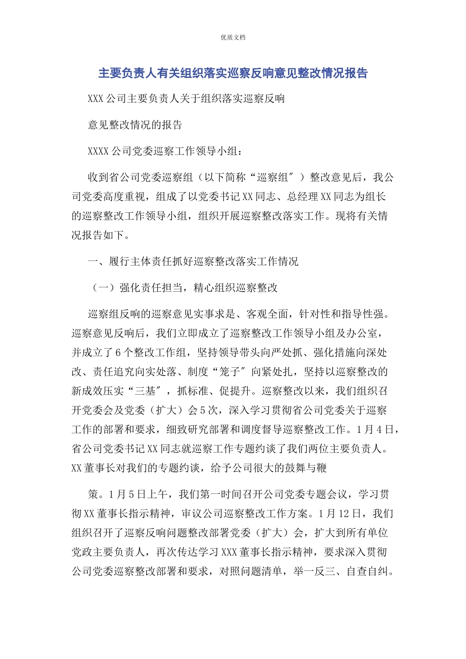 2023年主要负责人组织落实巡察反馈意见整改情况报告.docx_第1页