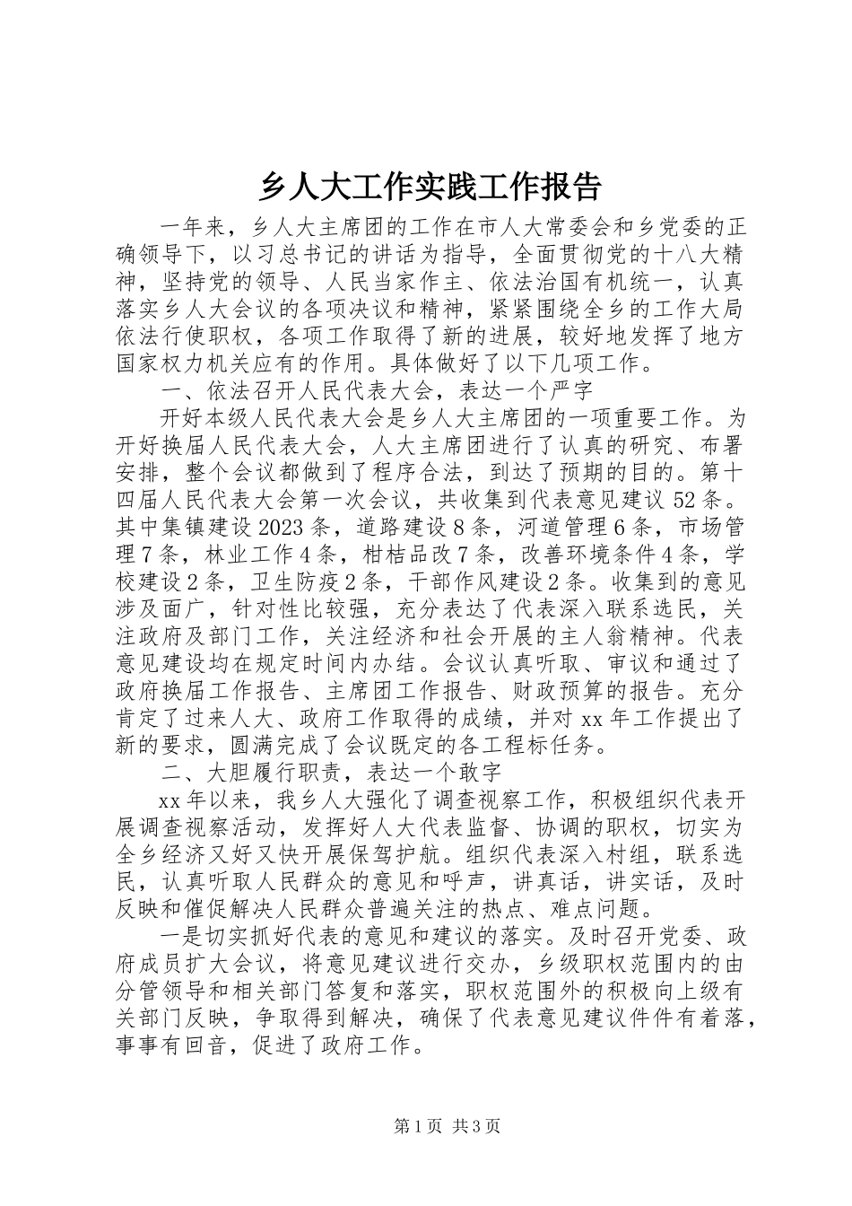 2023年乡人大工作实践工作报告.docx_第1页