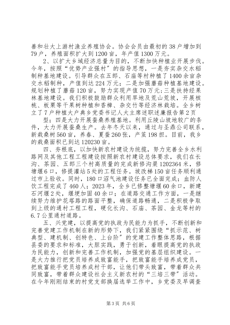 2023年乡党委书记人大主席述职述廉报告.docx_第3页