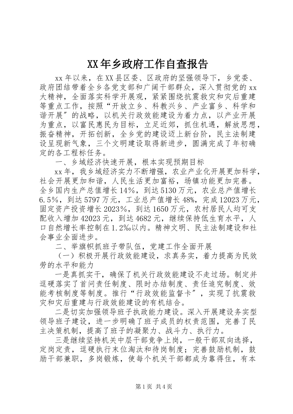 2023年乡政府工作自查报告.docx_第1页