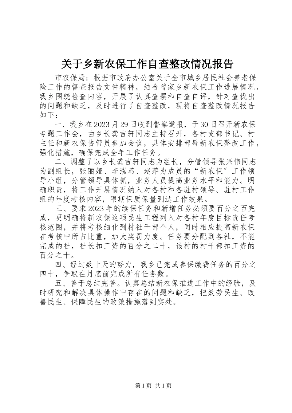 2023年乡新农保工作自查整改情况报告.docx_第1页