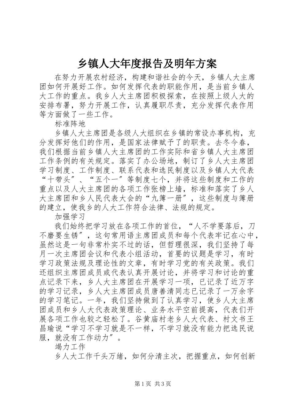 2023年乡镇人大年度报告及明年计划.docx_第1页