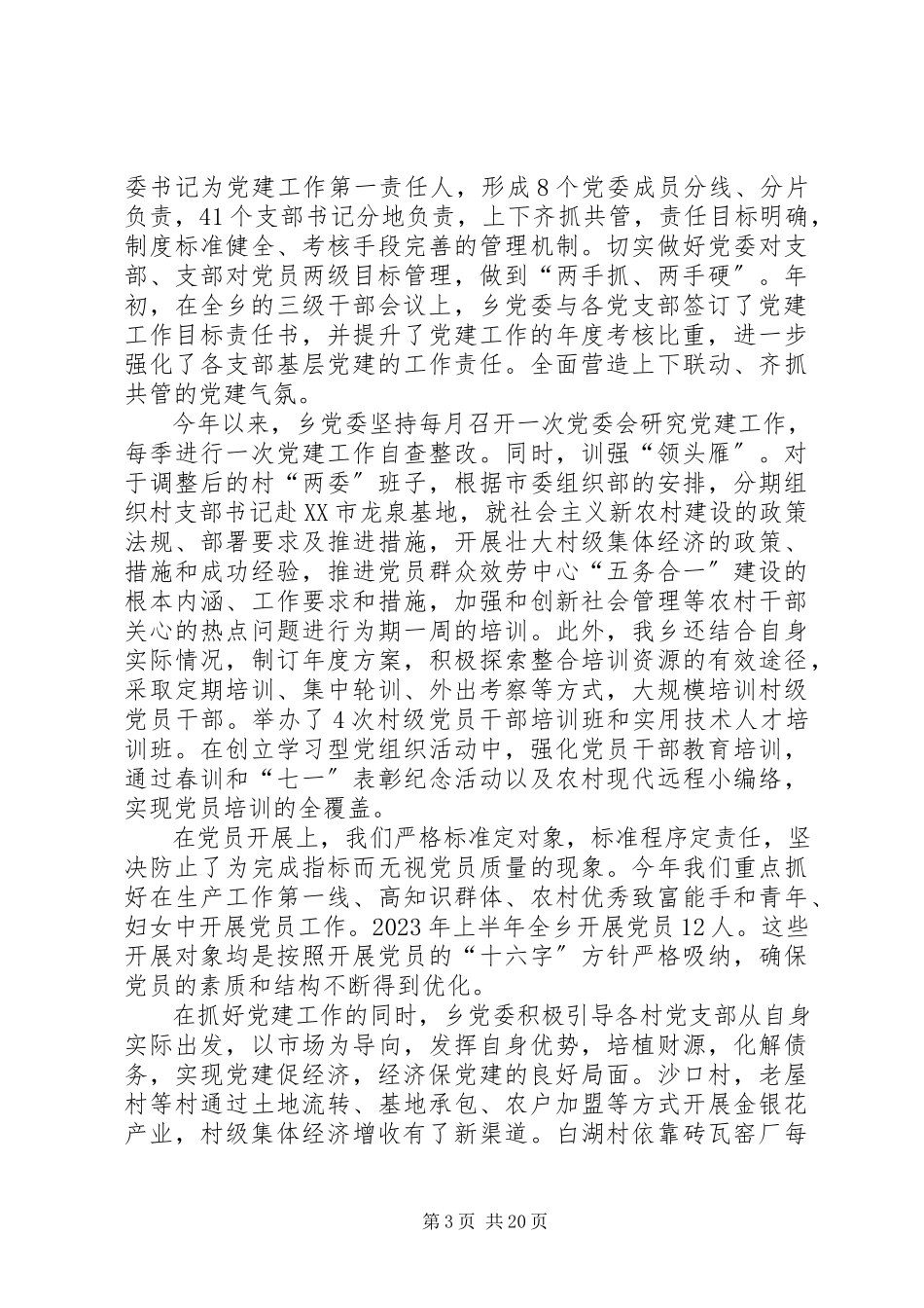 2023年乡镇党政班子的述职述廉报告.docx_第3页