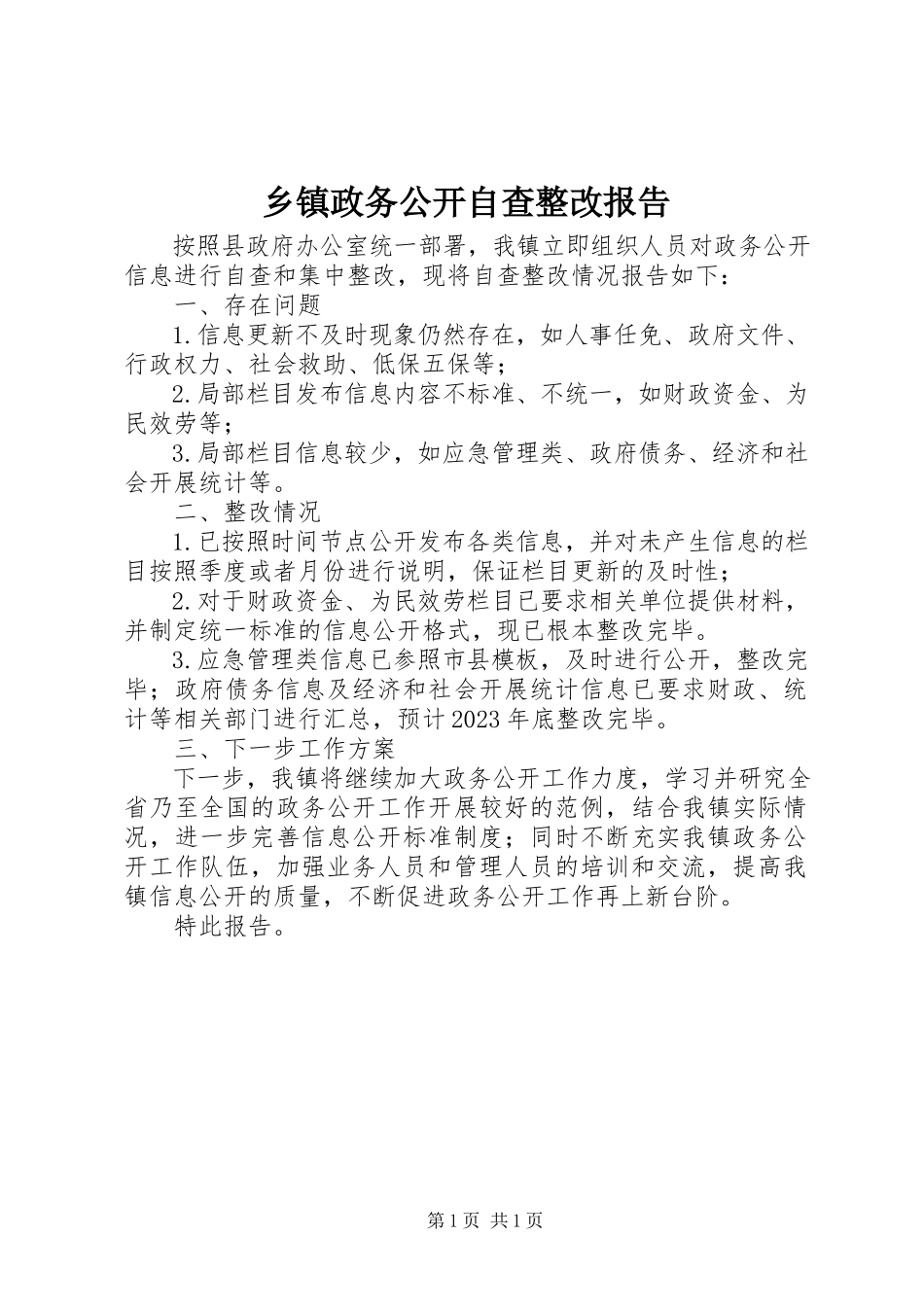 2023年乡镇政务公开自查整改报告.docx_第1页