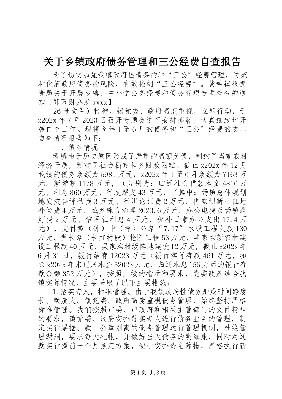 2023年乡镇政府债务管理和三公经费自查报告.docx_第1页