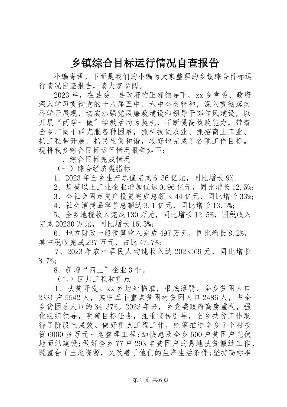 2023年乡镇综合目标运行情况自查报告.docx_第1页