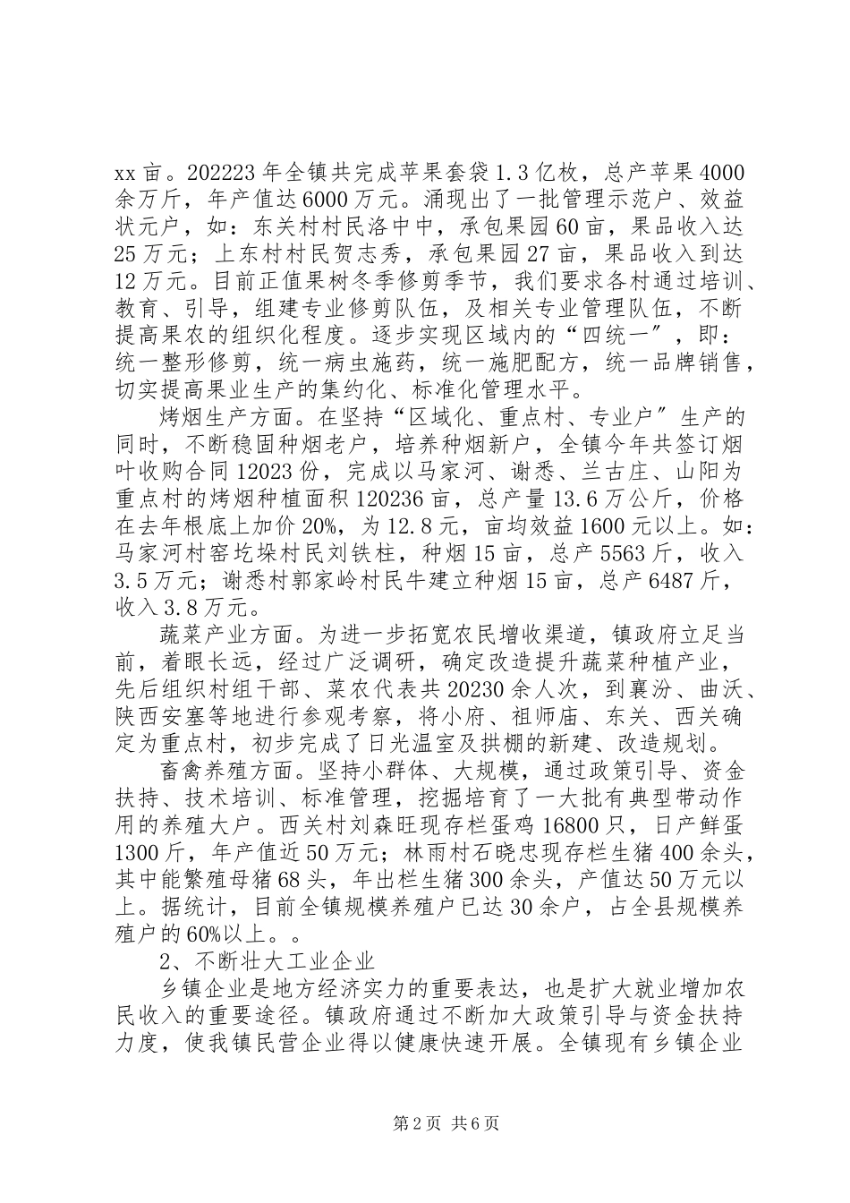 2023年乡镇镇长述职报告人大代表述职报告.docx_第2页