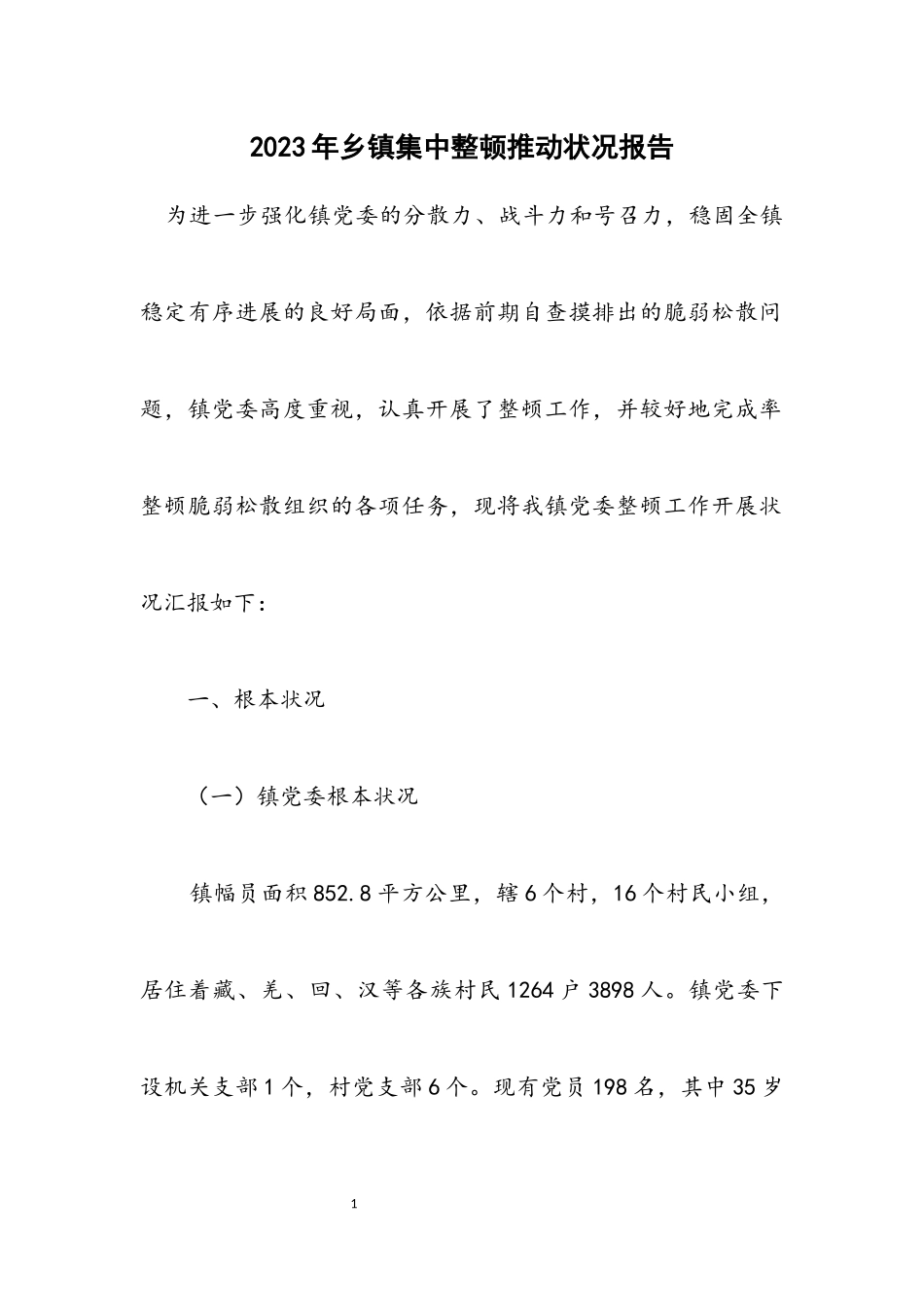 2023年乡镇集中整顿推进情况报告.docx_第1页