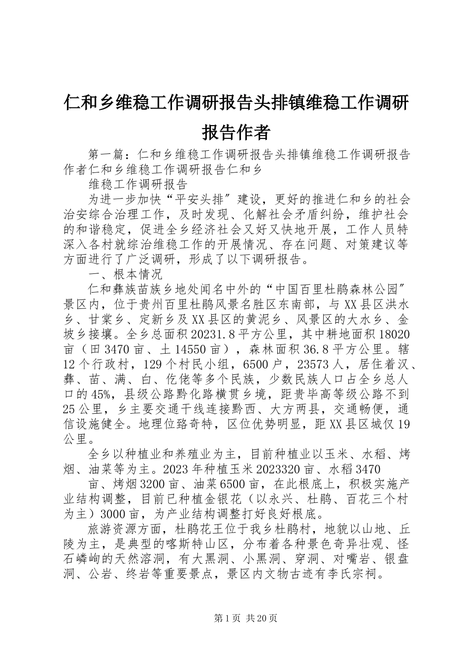 2023年仁和乡维稳工作调研报告头排镇维稳工作调研报告作者.docx_第1页