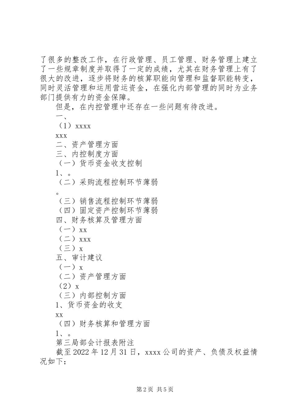 2023年企业财务审计报告.docx_第2页