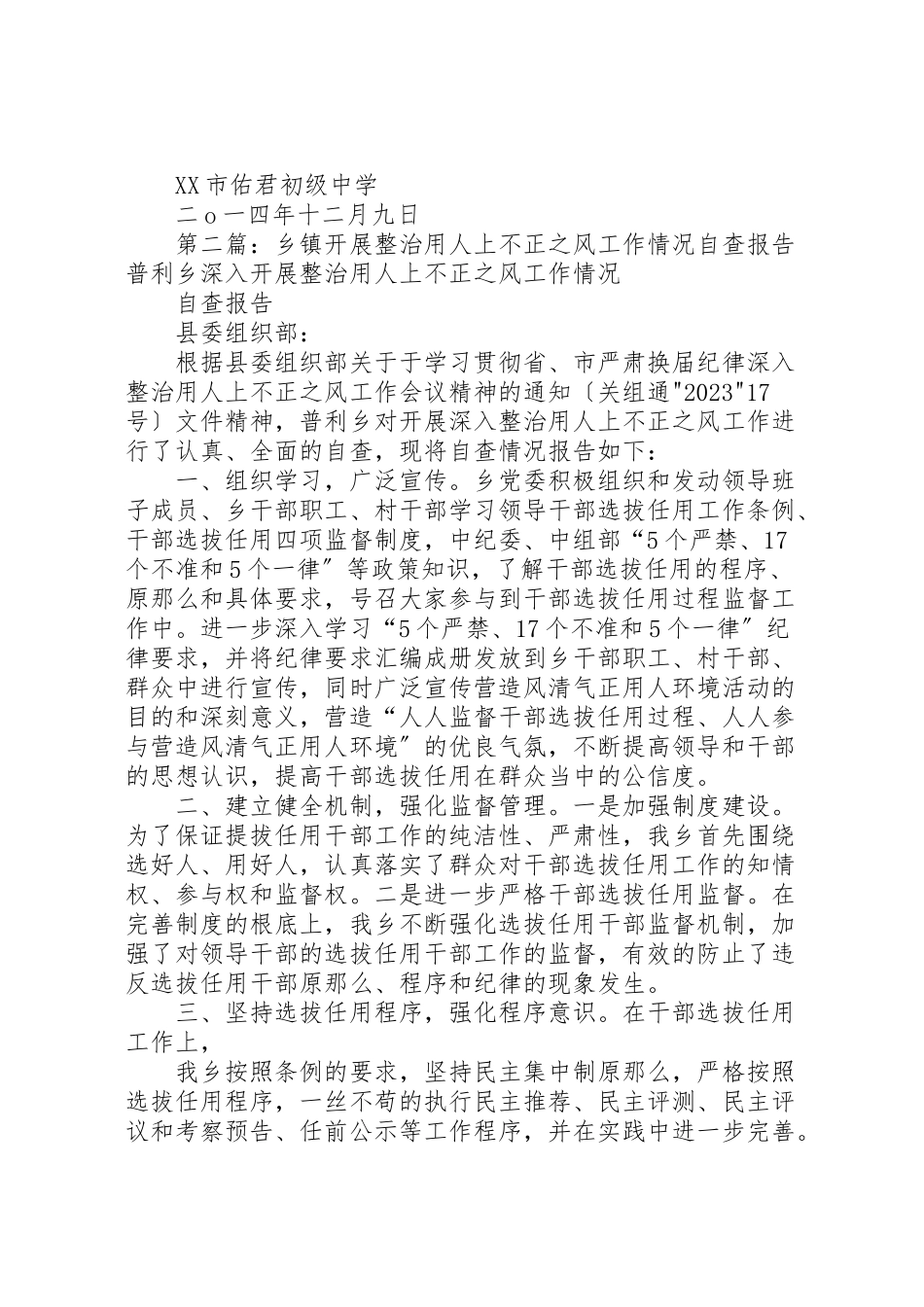 2023年佑君中学开展选人用人不正之风专项整治工作自查报告及整改措施.doc_第2页