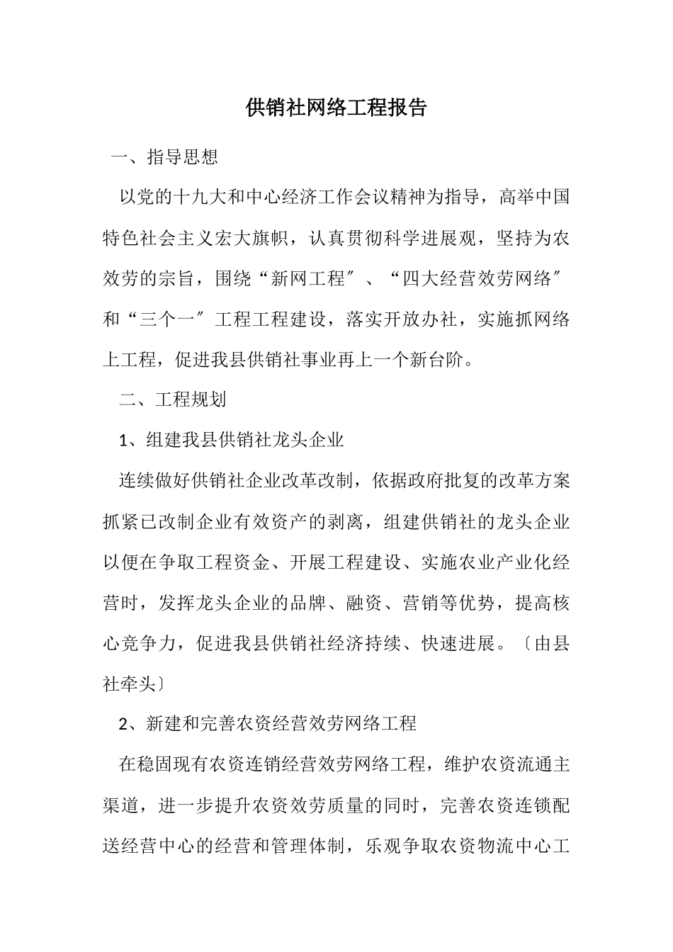 2023年供销社网络项目报告.docx_第1页
