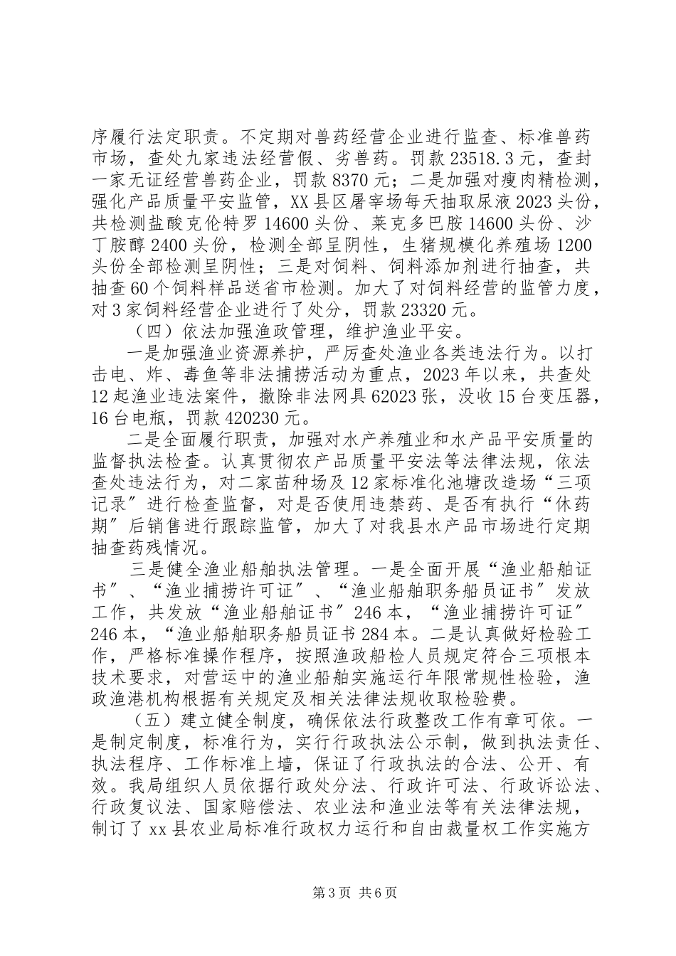 2023年依法行政综合监察整改落实自查情况报告.docx_第3页