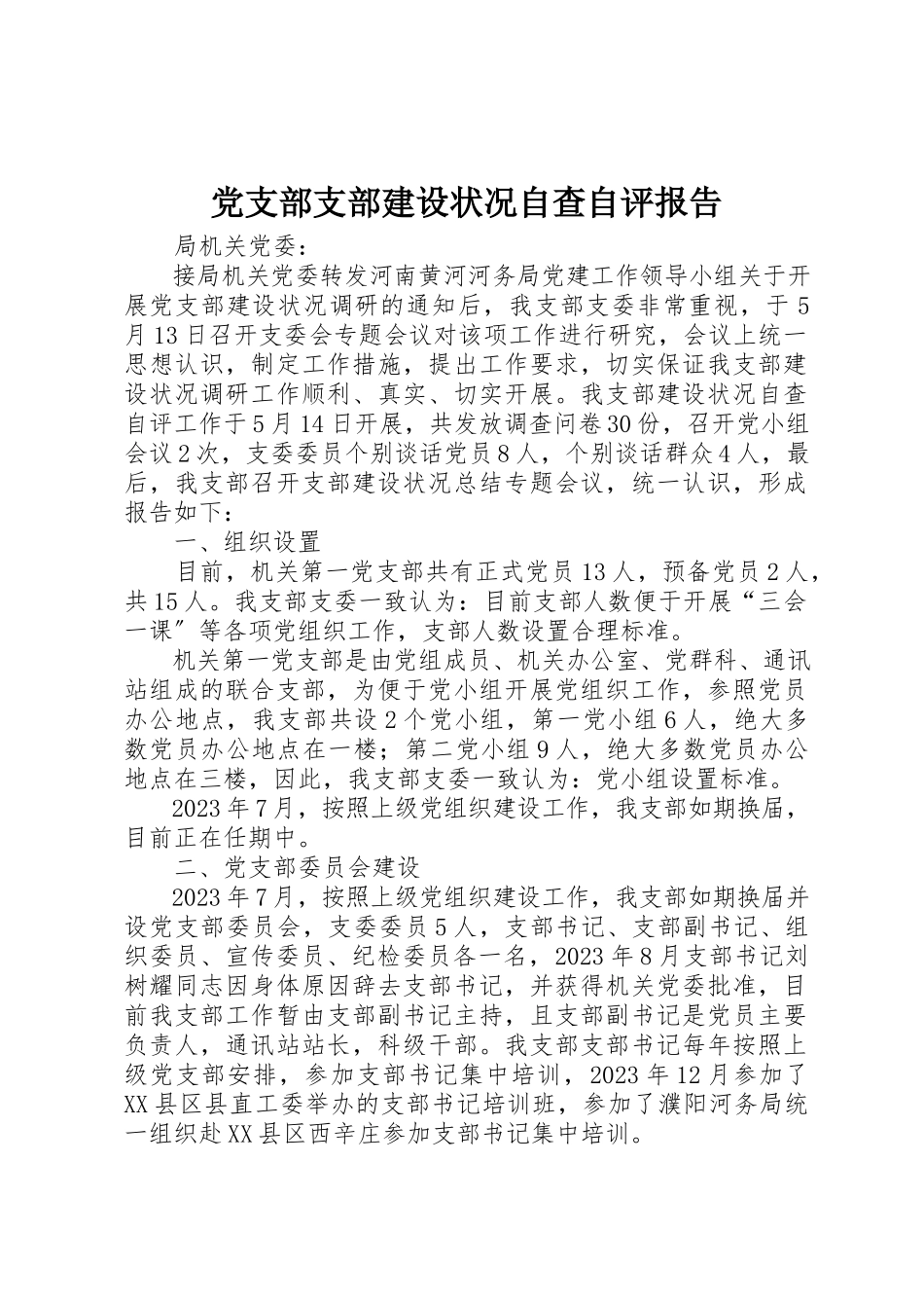 2023年党支部支部建设状况自查自评报告.docx_第1页