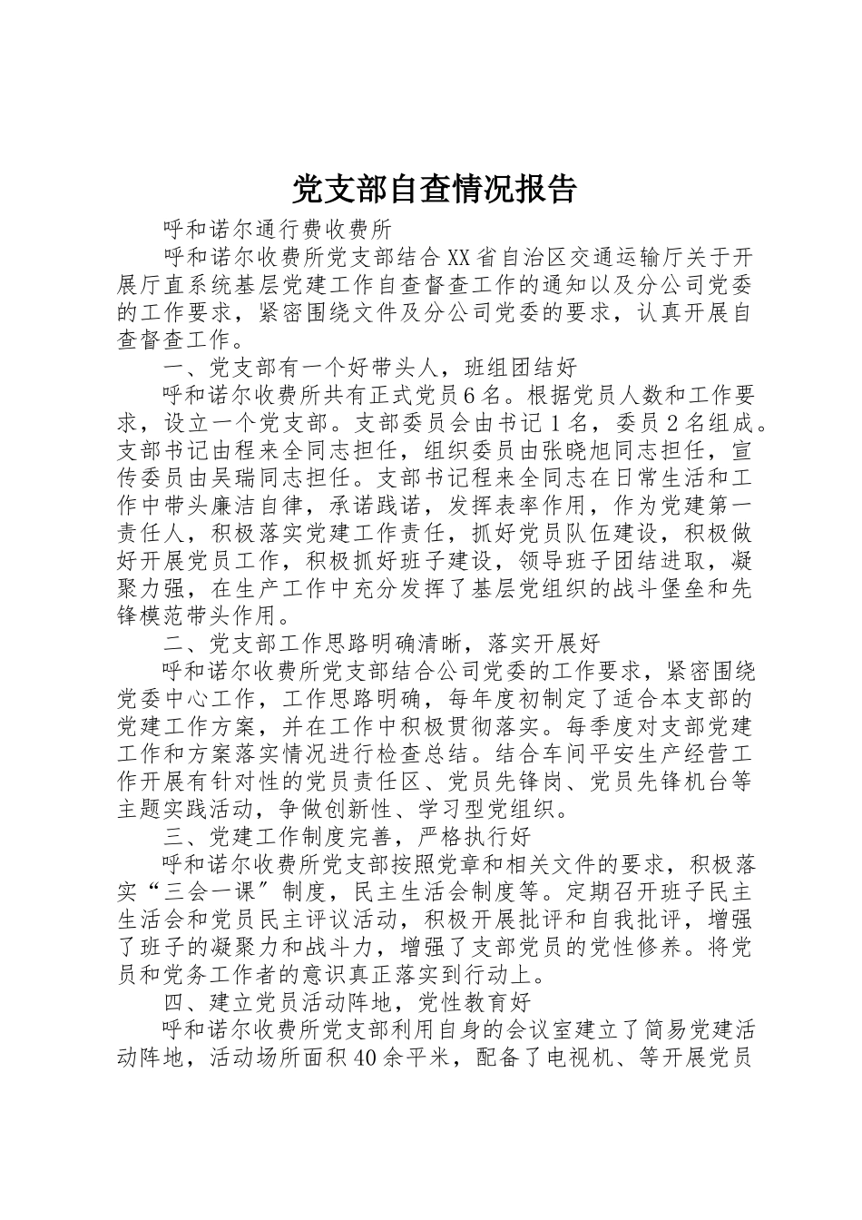 2023年党支部自查情况报告.docx_第1页