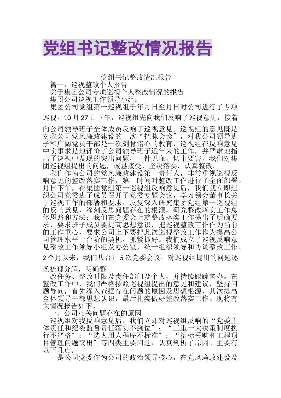 2023年党组书记整改情况报告.doc_第1页