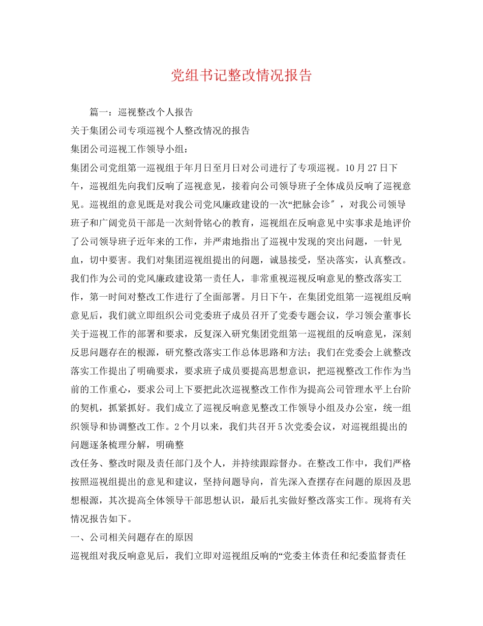 2023年党组书记整改情况报告.docx_第1页