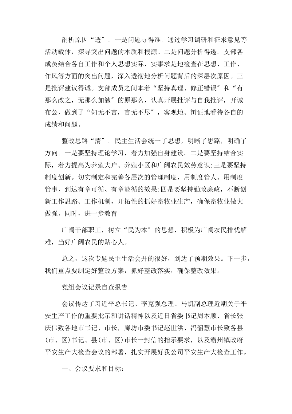 2023年党组会议记录自查报告优秀.docx_第2页