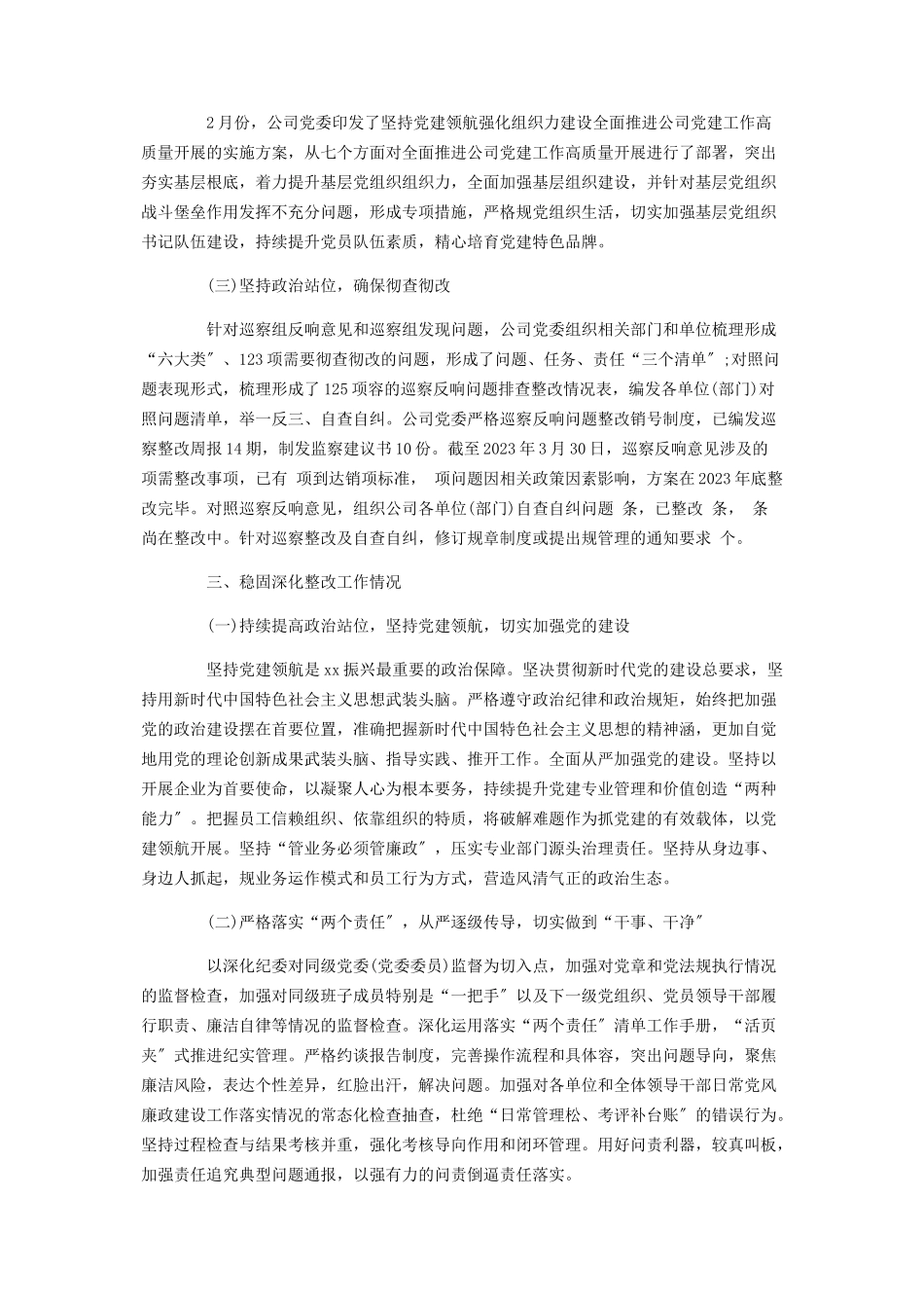 2023年党组织主要负责人组织落实巡察整改情况报告.docx_第3页