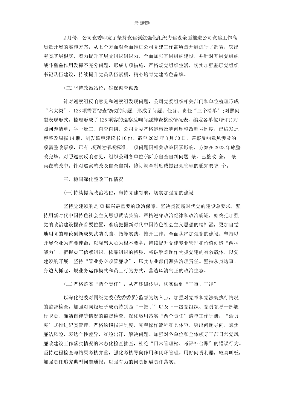2023年党组织主要负责人组织落实巡察整改情况报告2.docx_第3页
