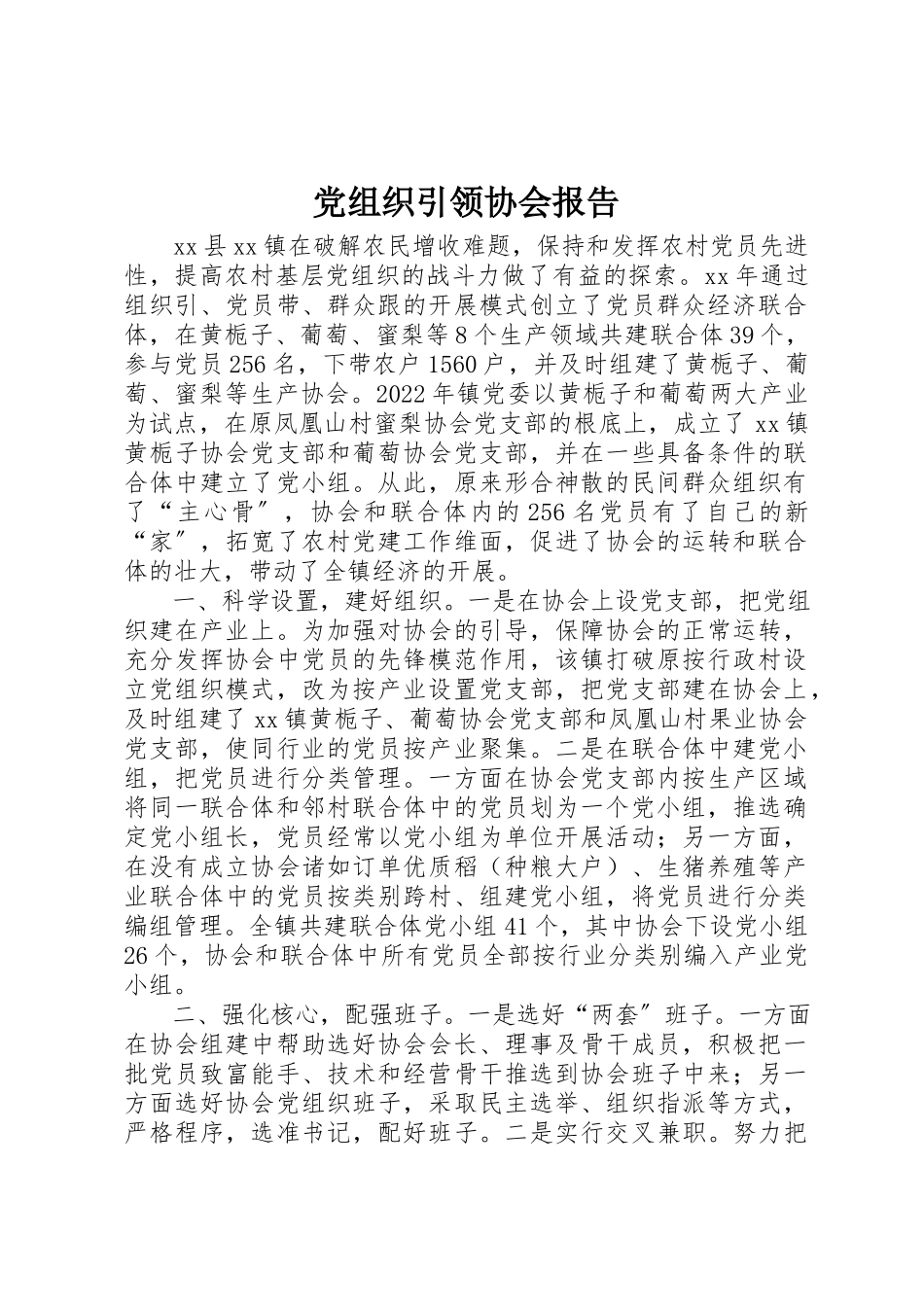 2023年党组织引领协会报告.docx_第1页