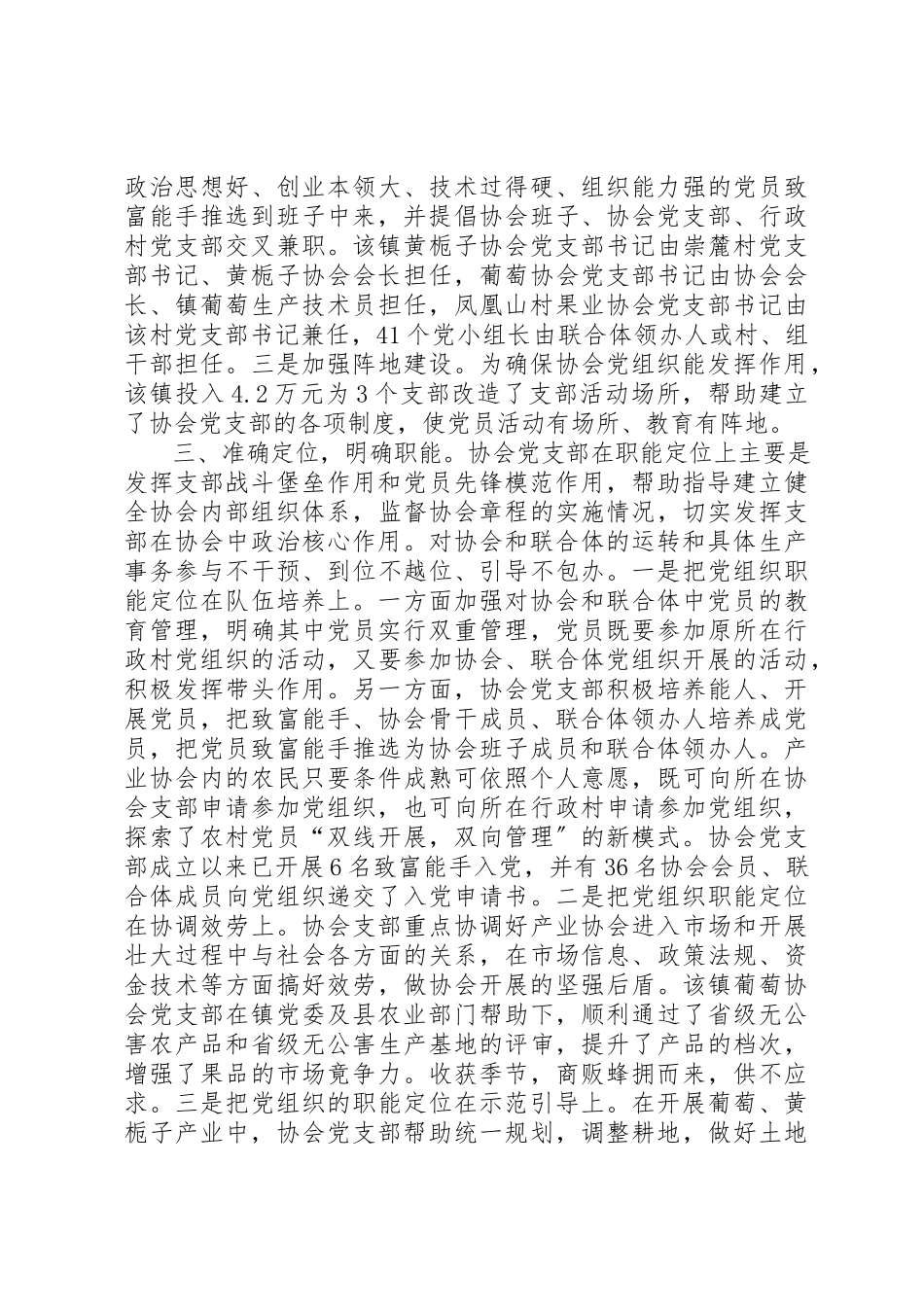 2023年党组织引领协会报告.docx_第2页