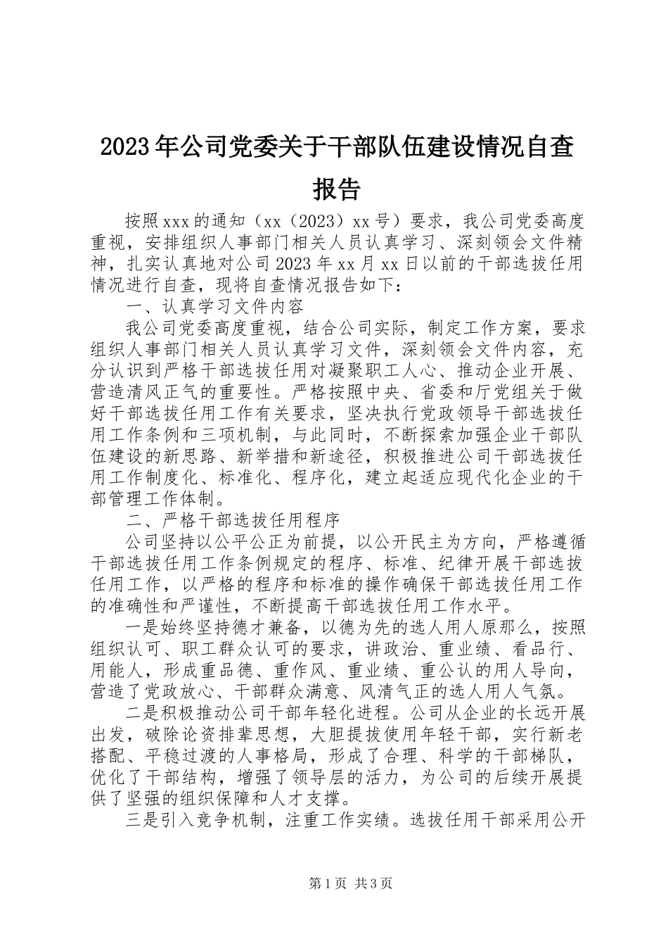 2023年公司党委干部队伍建设情况自查报告.docx_第1页