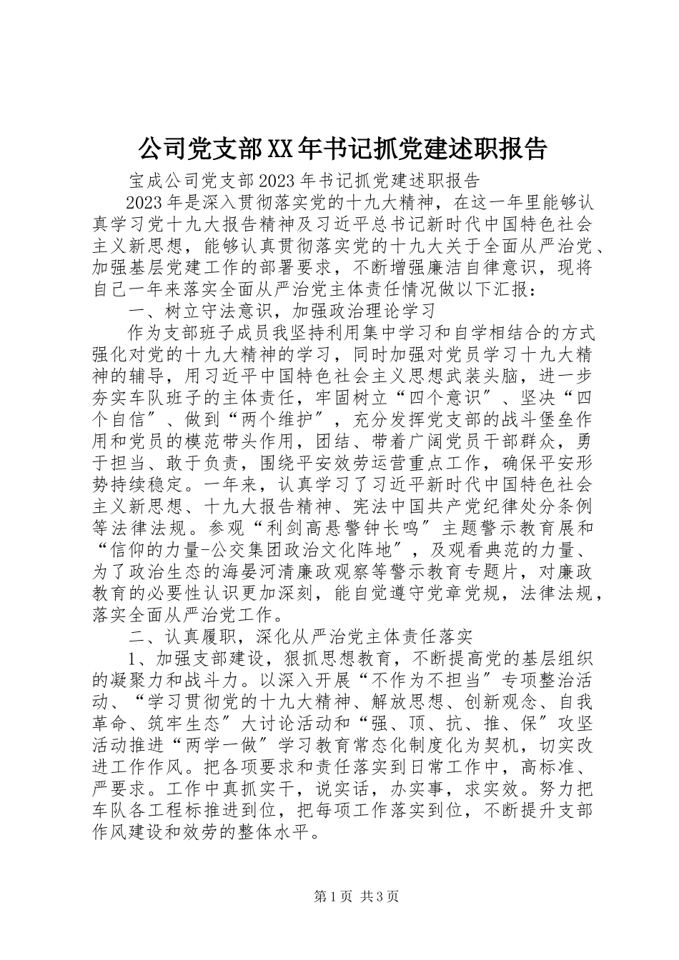 2023年公司党支部某年书记抓党建述职报告.docx_第1页