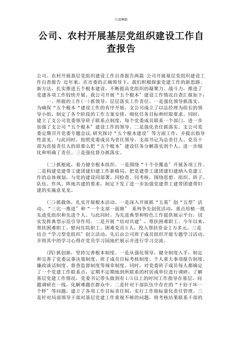 2023年公司农村开展基层党组织建设工作自查报告.docx_第1页