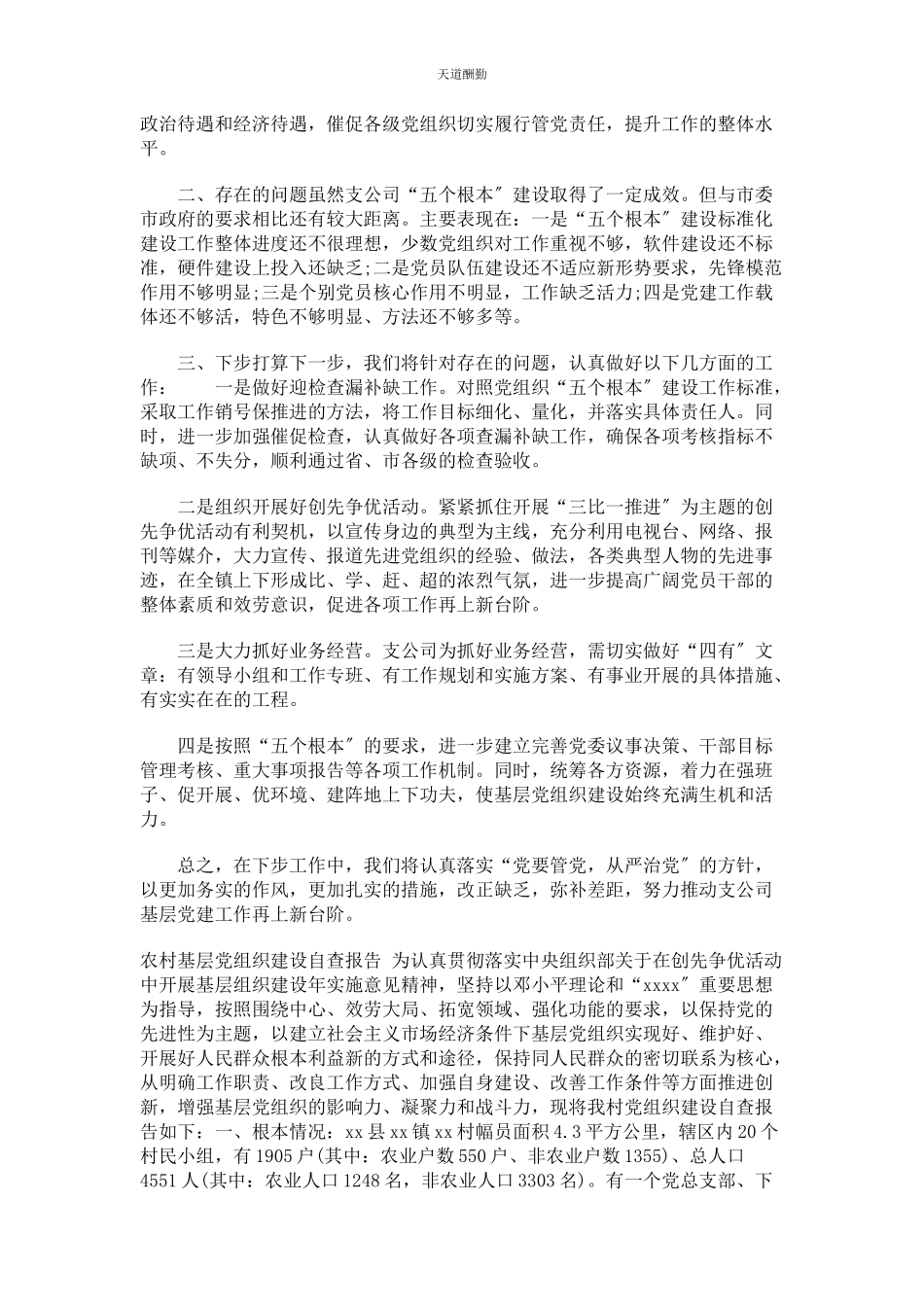 2023年公司农村开展基层党组织建设工作自查报告.docx_第2页