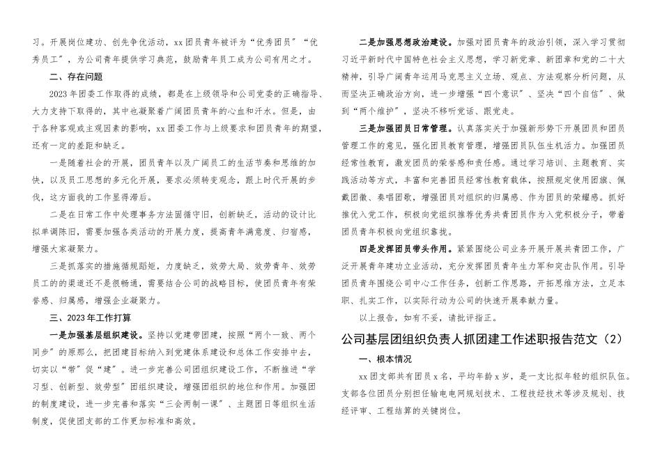 2023年公司基层团组织负责人抓团的建设工作述职报告2篇.docx_第2页