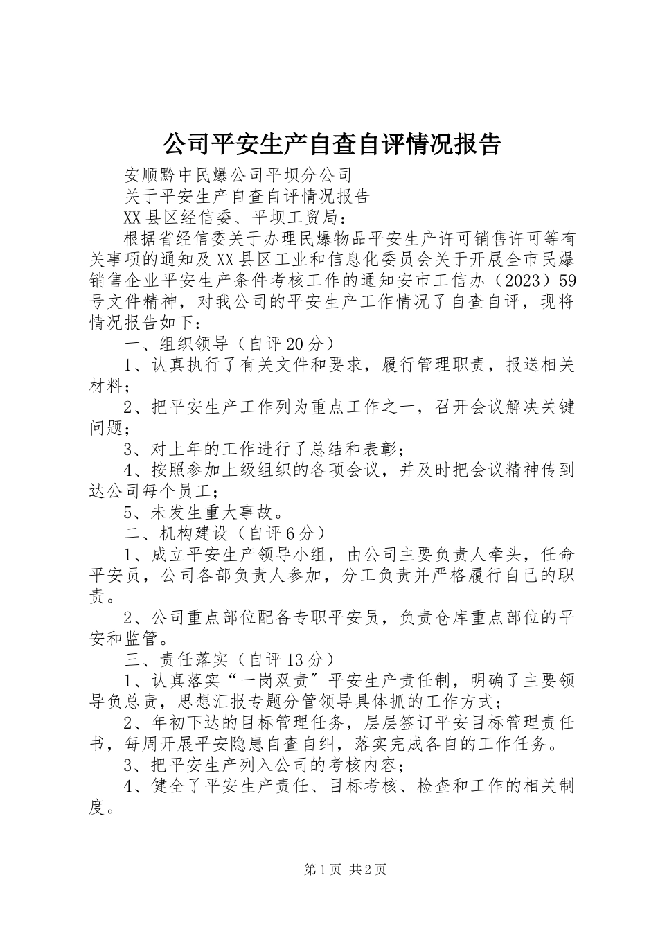 2023年公司安全生产自查自评情况报告.docx_第1页