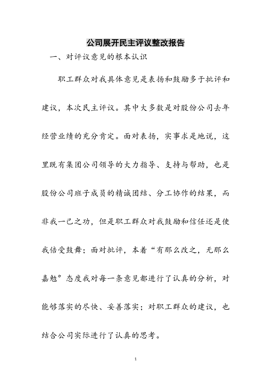 2023年公司展开民主评议整改报告范文.doc_第1页