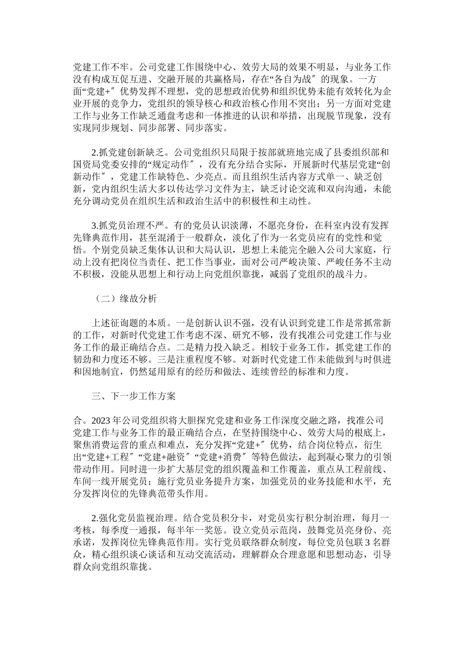 2023年公司年党委书记述职报告.docx_第2页