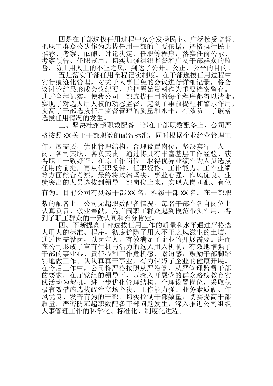 2023年公司干部选拔任用情况自查报告.doc_第2页