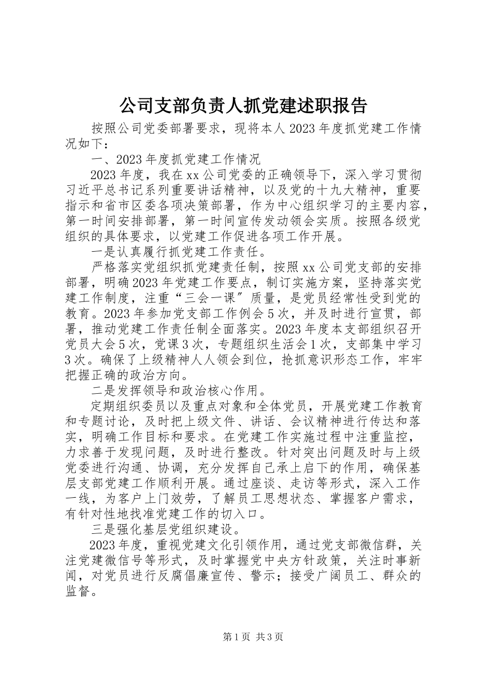2023年公司支部负责人抓党建述职报告.docx_第1页