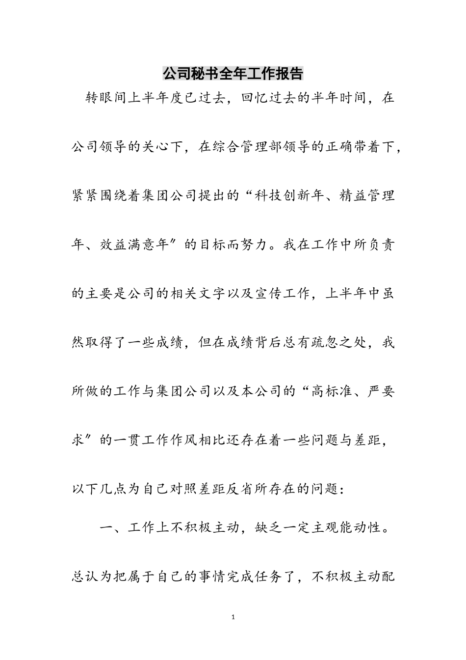 2023年公司秘书全年工作报告范文.doc_第1页