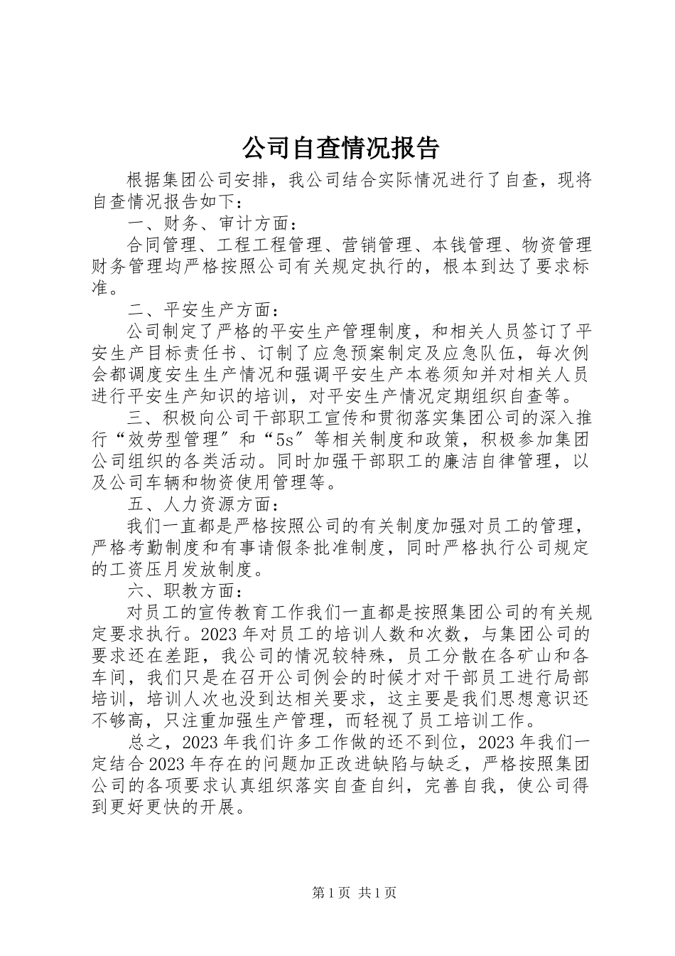2023年公司自查情况报告.docx_第1页