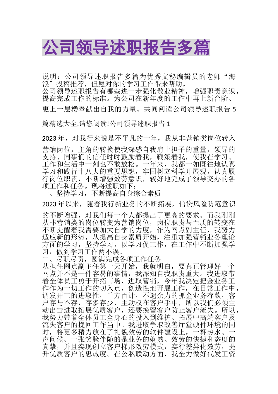 2023年公司领导述职报告多篇.doc_第1页