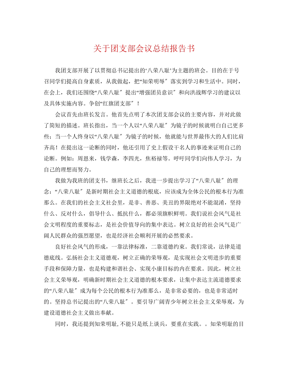 2023年关于团支部会议总结报告书.docx_第1页