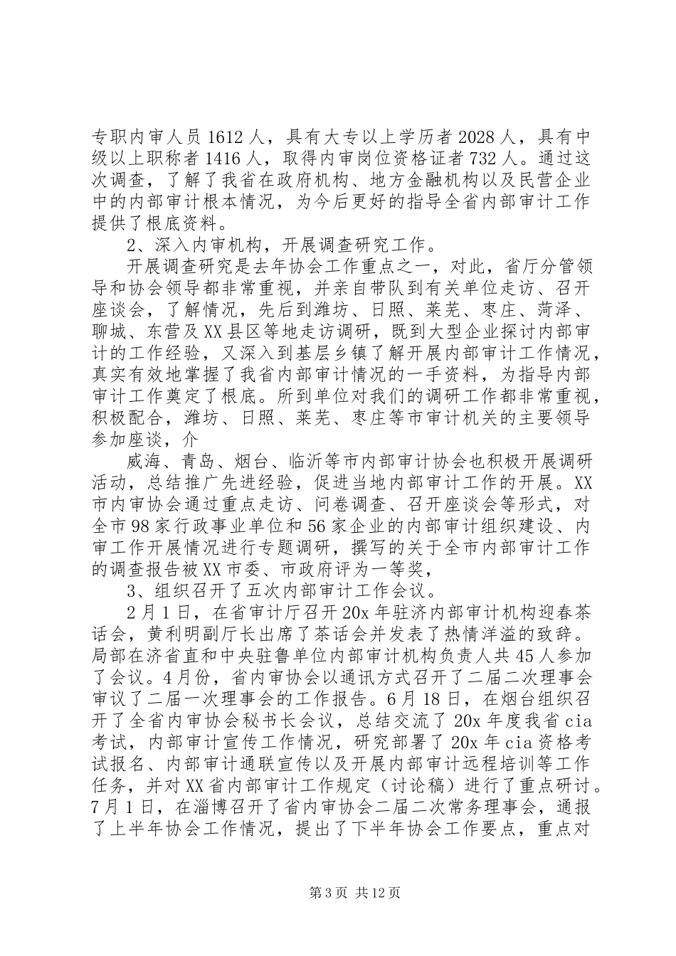 2023年内部审计师协会工作报告.docx_第3页