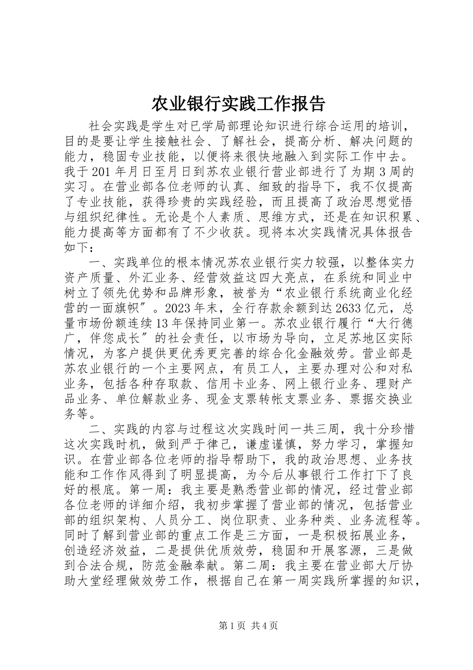 2023年农业银行实践工作报告.docx_第1页