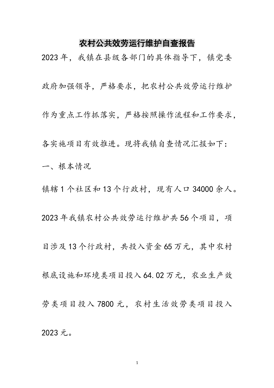 2023年农村公共服务运行维护自查报告范文.doc_第1页